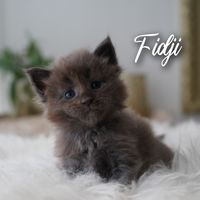 Fidji